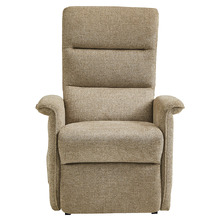 Erasyl Electric Recliner Armchair